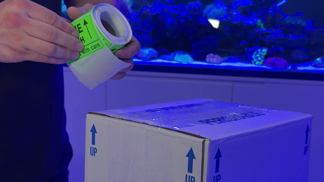 Labeling a packed perishable shipping box at our Miami store, with the display tank behind it