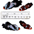 Jumbo black frost X mocha longfin pair