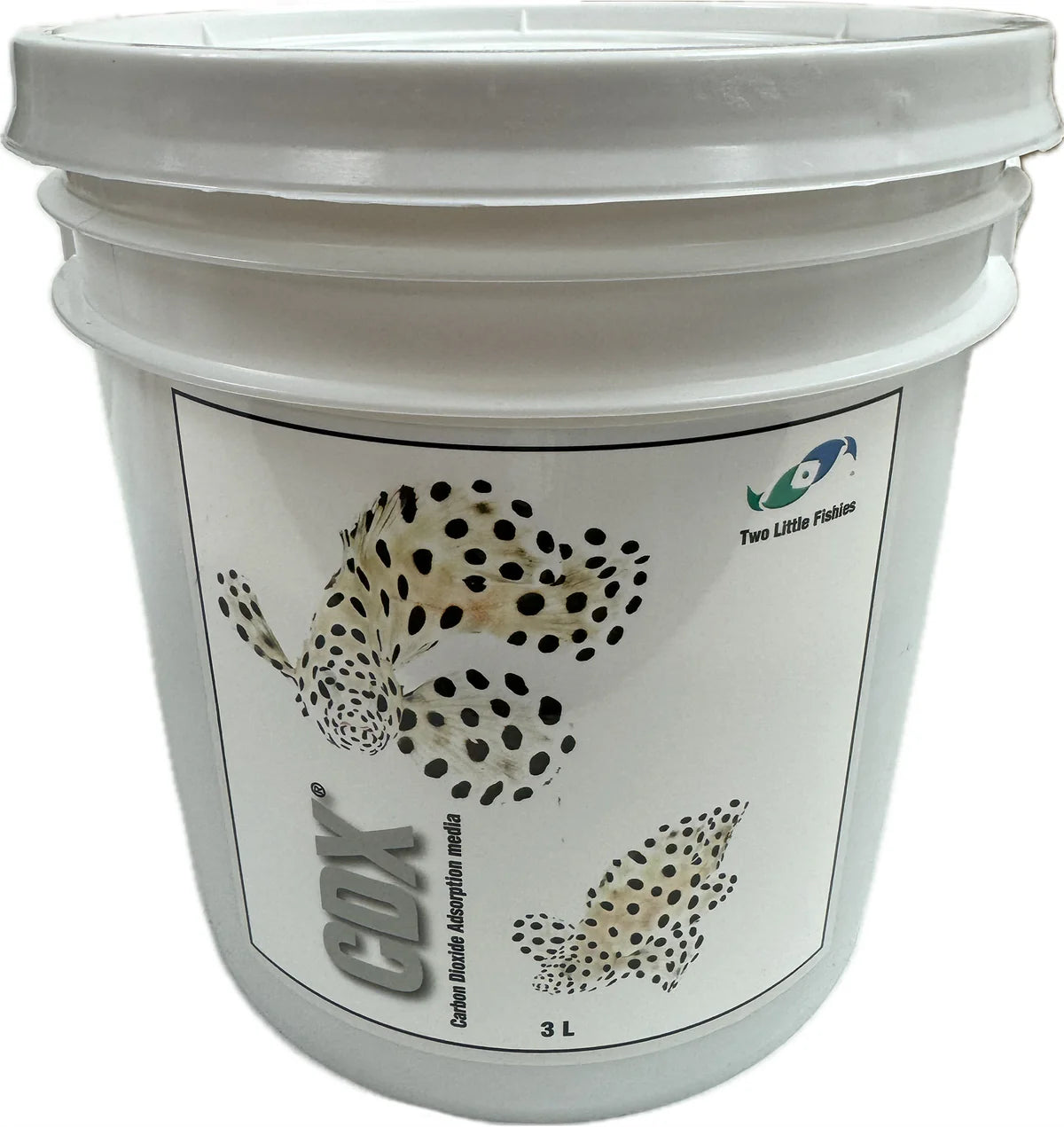 [Two Little Fishies] CDX