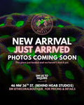 New arrival — photos coming soon