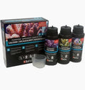 [Red Sea] Foundations Complete Pack